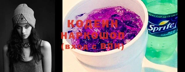 метадон Богданович