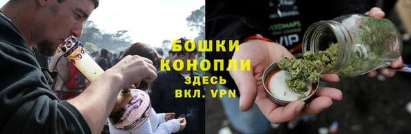 соль ск Богородицк