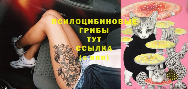 дживик Кострома