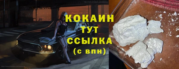 метадон Богданович