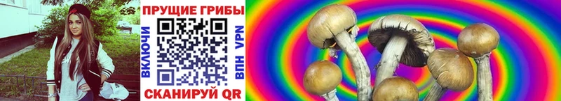 Галлюциногенные грибы GOLDEN TEACHER MEGA ONION Межгорье